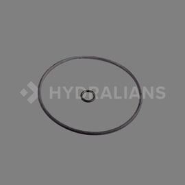 Joint torique vanne recul Polaris TM