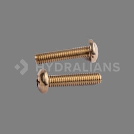 Vis POLARIS 280 10x32-7/8 inox (sachet de 2)