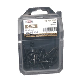 Vis pour penture Torx® Zingué noir Coque