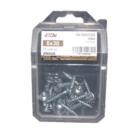 Vis penture Torx® Zingué bichromaté Coque