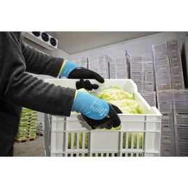 Gant protection froid TempIce 700