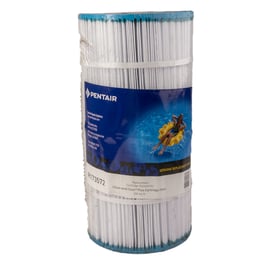 Cartouche Clean and Clear Plus - 240