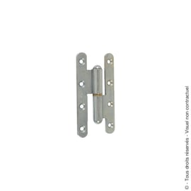 Paumelle renforcée zingué blanc