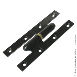 Paumelle PICARDE bouts ronds époxy noir 9005 avec bague laiton