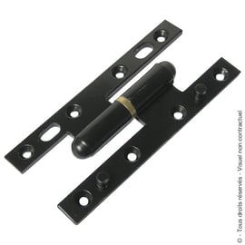 Paumelle PICARDE SECURIFOR bouts carrés époxy noir 9005