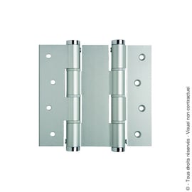 Charnière à ressort double action va et vient argent