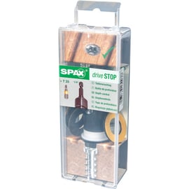 Porte embout butée profondeur avec embout Torx® T-STAR plus