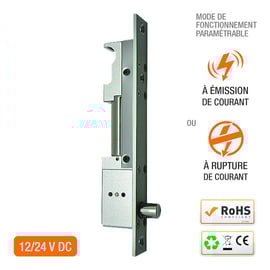 Verrou électromagnétique universel DBM1500EC 12/24V DC