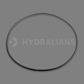 Joint corps pompe Swimmey