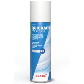 Mousse nettoyante QUICKAEX - 650 mL - parfum thé vert