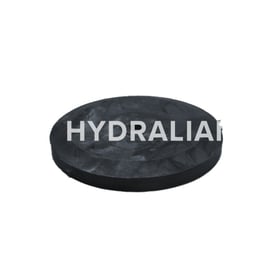 Plaque fermeture VBZ - 4"