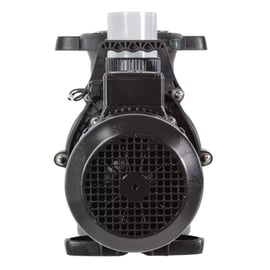 Pompe piscine Sta-Rite 5PXF triphasée