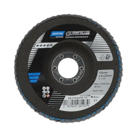 Disque à lamelles QUANTUM - Ø 125 mm - Grain 60