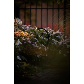 Spot ORIENT XIBLE 2W