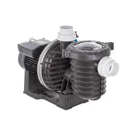 Pompe piscine monophasée STA-RITE HD eau de mer