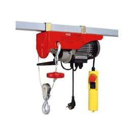 Palan électrique 990G - Charge CMU : 125/250 kg