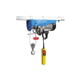 Palan électrique 991G - Charge CMU : 250/500 kg