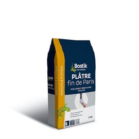 Plâtre FIN DE PARIS - 5 kg - blanc