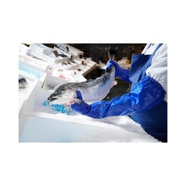 Gant chimique AlphaTec® 23-201