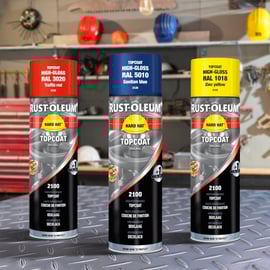 Peinture HARD HAT en aérosol