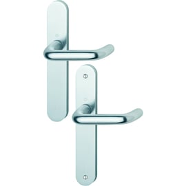 Ensemble sur grande plaque PARIS argent F1