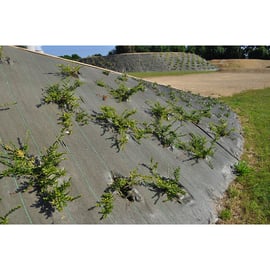 Toile de paillage tissée verte
