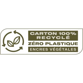 Sangle d'arrimage à crochet en 2 parties - 9 m - Largeur de la sangle 50 mm - Résistance à la rupture 2000 daN - Coefficient de sécurité 2