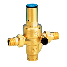 Réducteur de pression 536 laiton 1/2'' MM PN25 avec raccords