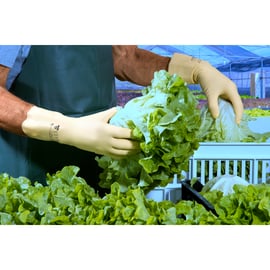 Gant chimique Vital 175