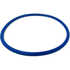 Joint de couvercle INTELLIFLO 3 VSF 3CV