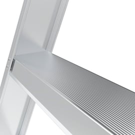 Marchepied Double ACCES avec garde corps