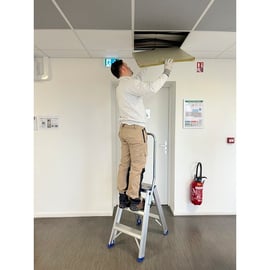 Marchepied Double ACCES avec garde corps