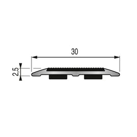 Profilé antidérapant adhésif - 5T - largeur 30 mm - longueur 3000 mm