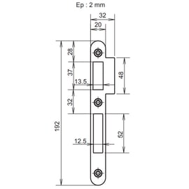 Gâche plate pour serrure à larder 1 point NFQC
