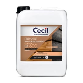 Primaire anti-grisaillement SX600 - 5 L - incolore