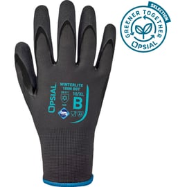 Gant de protection contre le froid WINTERLITE 100N OGT