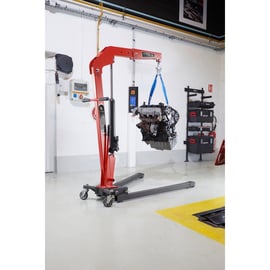 Grue d'atelier pliable DL.1GPPF 1 Tonne