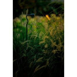 Spot orientable XIBLE Hi