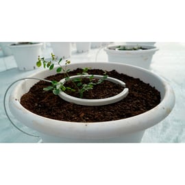 Arc goutteur multi-sorties NETBOW