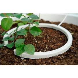 Arc goutteur multi-sorties NETBOW