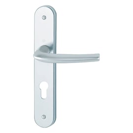 Ensemble sur grande plaque SAN-DIEGO argent F1