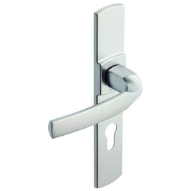 Ensemble sur grande plaque ARTIS platine