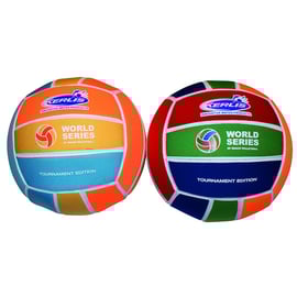 Ballon de volley "World champion"