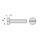 Vis à métaux tête cylindrique fendue PA 6,6 naturel