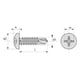 Vis autoperceuse tête cylindrique empreinte Phillips® Inox A2