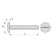 Vis poêlier tête ronde large fendue Inox A2