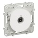 Prise TV ODACE - blanc