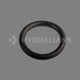 Bague étanchéité Polaris TM