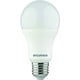 Lampe LED TOLEDO GLS A60 - E27 - 1521 Lm - 4000 K - 13 W