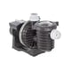 Pompe piscine monophasée STA-RITE HD eau de mer